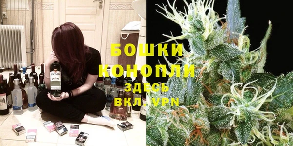 apvp Аркадак