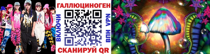 Галлюциногенные грибы Psilocybine cubensis  Урус-Мартан 